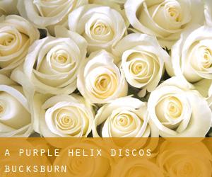 A Purple Helix Discos (Bucksburn)