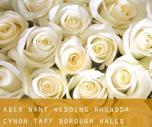 Aber-nant wedding (Rhondda Cynon Taff (Borough), Wales)