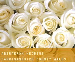 Aberaeron wedding (Cardiganshire County, Wales)