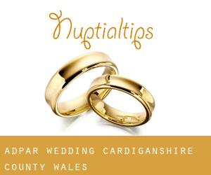 Adpar wedding (Cardiganshire County, Wales)