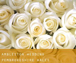 Ambleston wedding (Pembrokeshire, Wales)