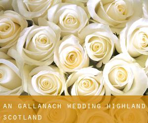 An Gallanach wedding (Highland, Scotland)
