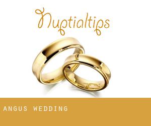 Angus wedding Angus wedding