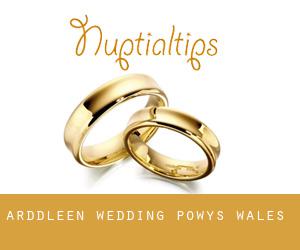 Arddleen wedding (Powys, Wales)
