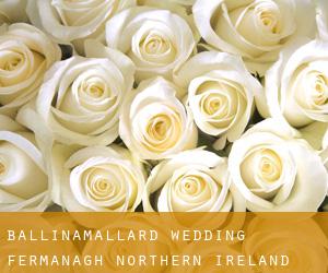 Ballinamallard wedding (Fermanagh, Northern Ireland) Ballinamallard wedding (Fermanagh, Northern Ireland)