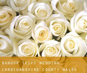 Bangor Teifi wedding (Cardiganshire County, Wales)