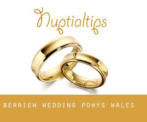 Berriew wedding (Powys, Wales)