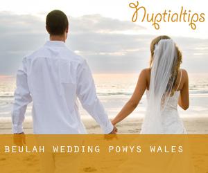 Beulah wedding (Powys, Wales)