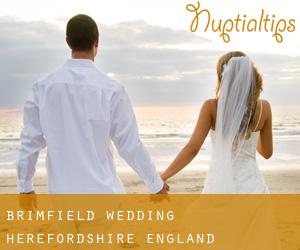 Brimfield wedding (Herefordshire, England)