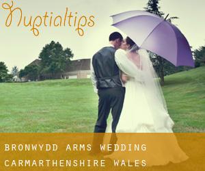 Bronwydd Arms wedding (Carmarthenshire, Wales)