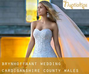 Brynhoffnant wedding (Cardiganshire County, Wales)