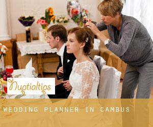 Wedding Planner in Cambus