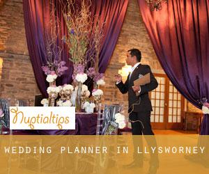 Wedding Planner in Llysworney