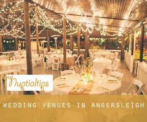 Wedding Venues in Angersleigh