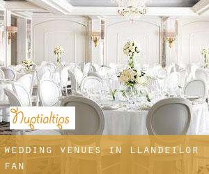 Wedding Venues in Llandeilor-Fan