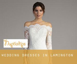 Wedding Dresses in Lamington