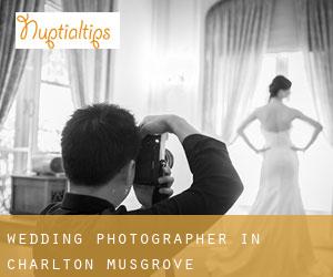Wedding Photographer in Charlton Musgrove