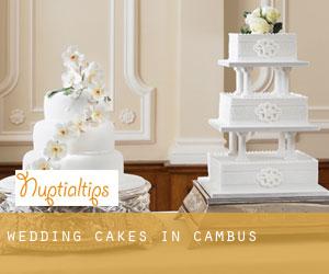 Wedding Cakes in Cambus