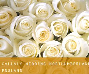 Callaly wedding (Northumberland, England)