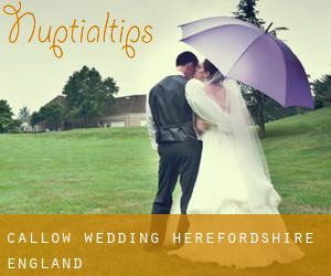 Callow wedding (Herefordshire, England)
