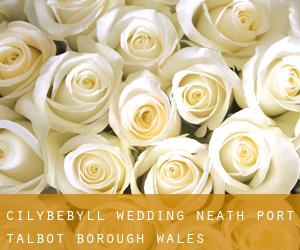 Cilybebyll wedding (Neath Port Talbot (Borough), Wales)