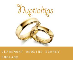 Claremont wedding (Surrey, England)