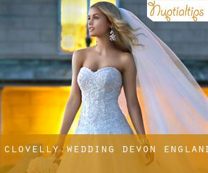 Clovelly wedding (Devon, England)