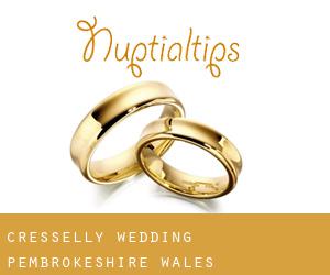 Cresselly wedding (Pembrokeshire, Wales)