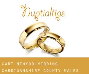 Cwrt-newydd wedding (Cardiganshire County, Wales)