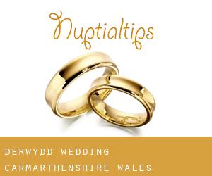 Derwydd wedding (Carmarthenshire, Wales)