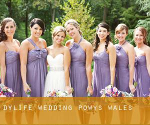 Dylife wedding (Powys, Wales)