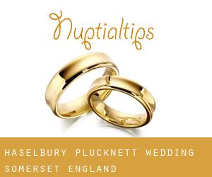 Haselbury Plucknett wedding (Somerset, England)