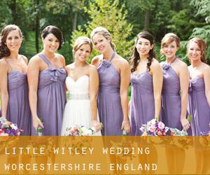 Little Witley wedding (Worcestershire, England) Little Witley wedding (Worcestershire, England)