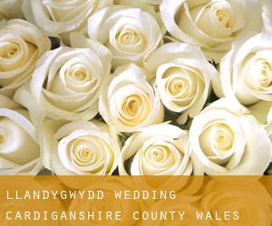 Llandygwydd wedding (Cardiganshire County, Wales)