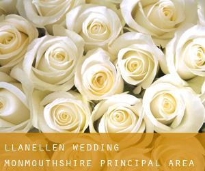 Llanellen wedding (Monmouthshire principal area, Wales)
