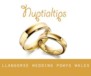 Llangorse wedding (Powys, Wales)