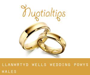 Llanwrtyd Wells wedding (Powys, Wales)
