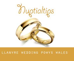 Llanyre wedding (Powys, Wales)