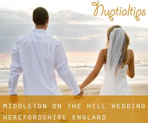Middleton on the Hill wedding (Herefordshire, England)