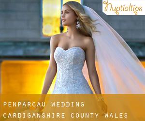 Penparcau wedding (Cardiganshire County, Wales)
