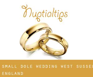 Small Dole wedding (West Sussex, England)