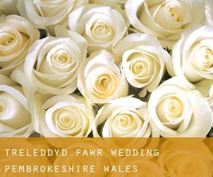Treleddyd-fawr wedding (Pembrokeshire, Wales)